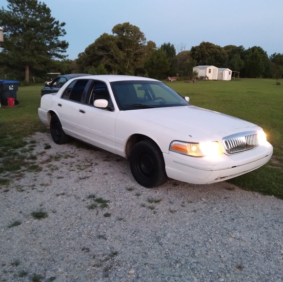 Meet your Posher, Steven - Picture 1 of 1